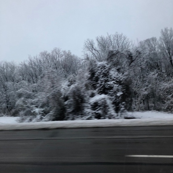 Meet your Posher, Mina - Picture 1 of 1